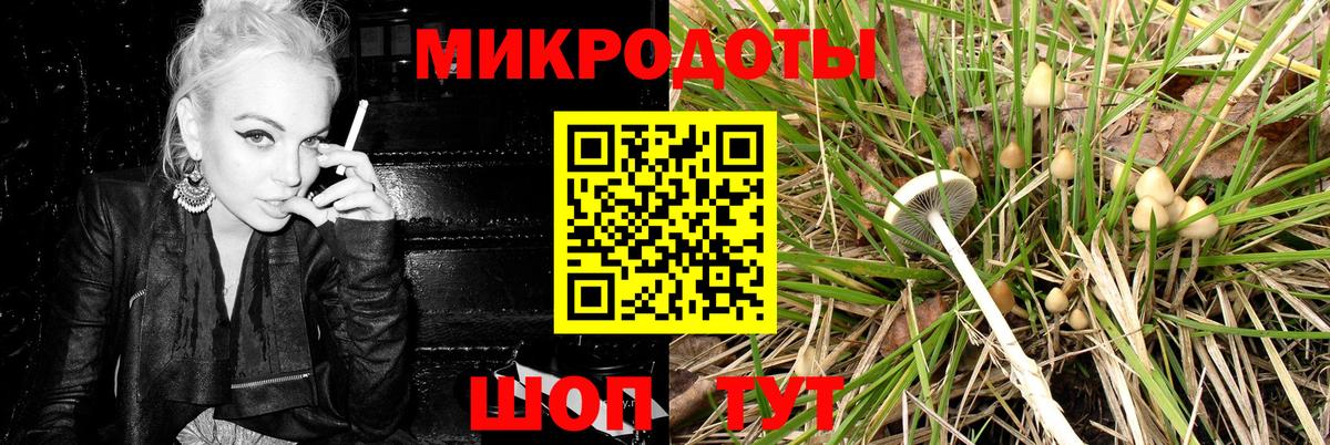 Псилоцибиновые грибы мухоморы Красноуфимск