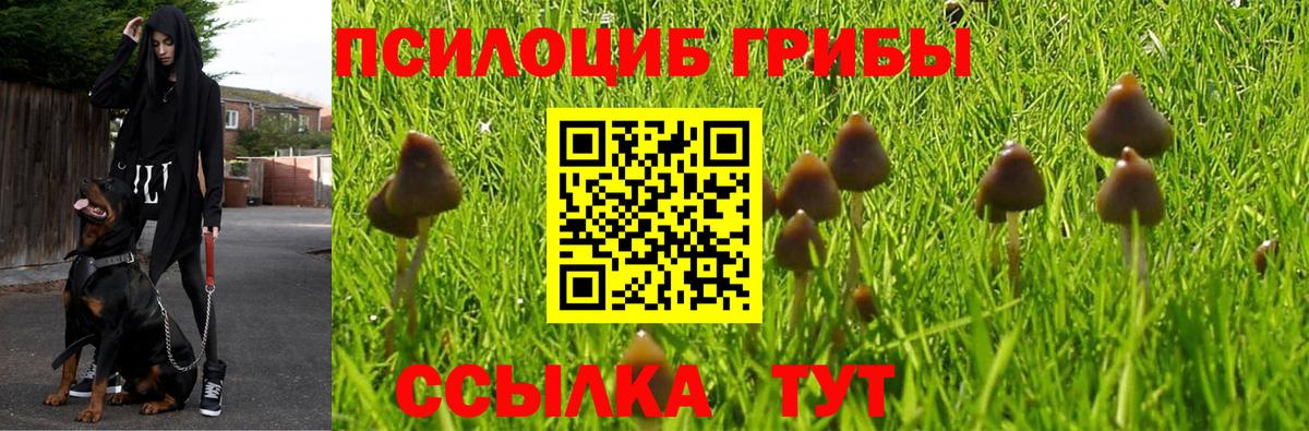 Галлюциногенные грибы мухоморы  наркота  Красноуфимск  Вход с VPN 